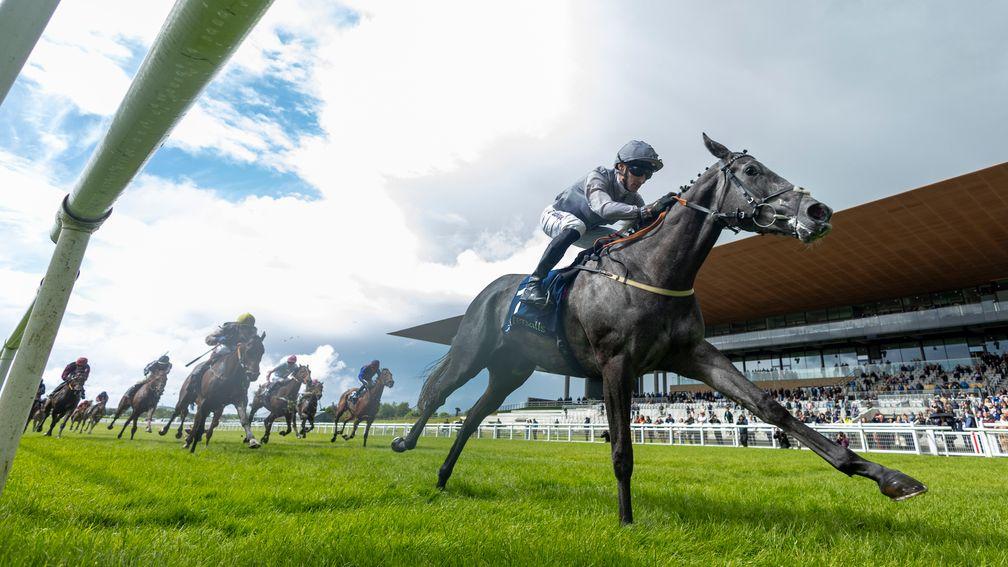 000 guineas 2024 prediction