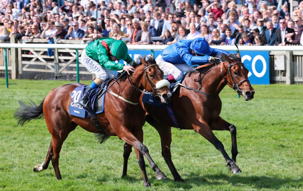 1000 guineas
