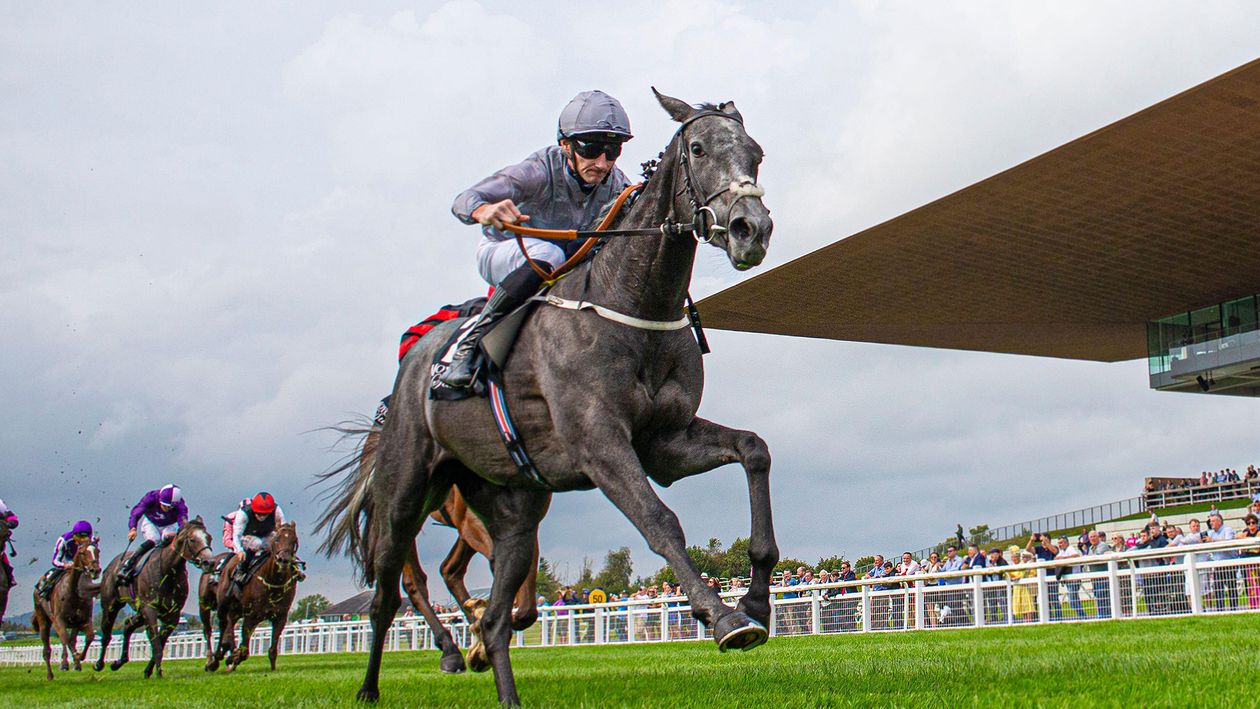 1,000 guineas 0044