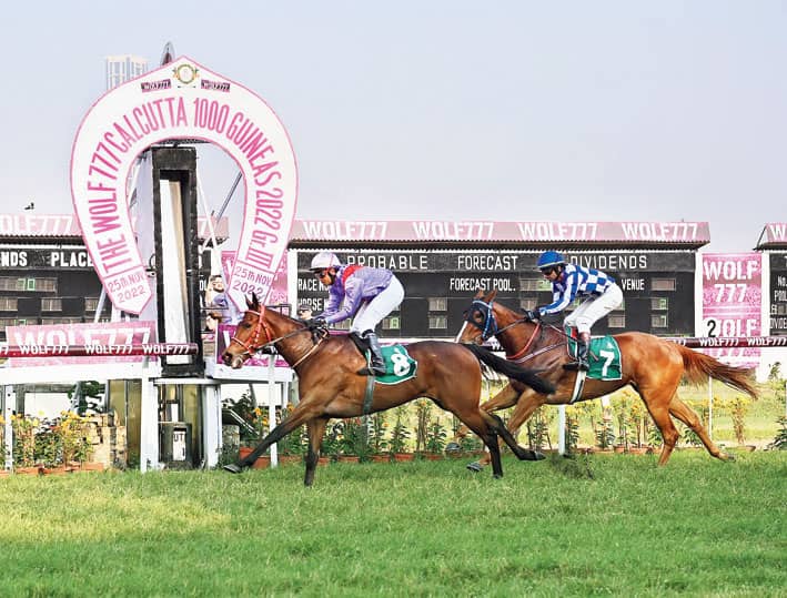 1,000 guineas 0047