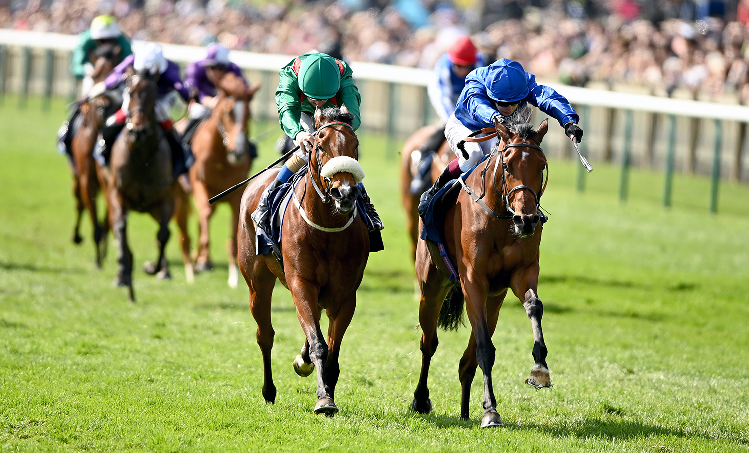 1,000 guineas 0048