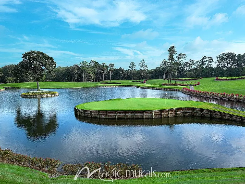 17th at TPC Sawgrass 0024