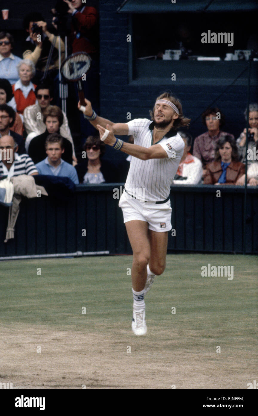 1981 Wimbledon champion