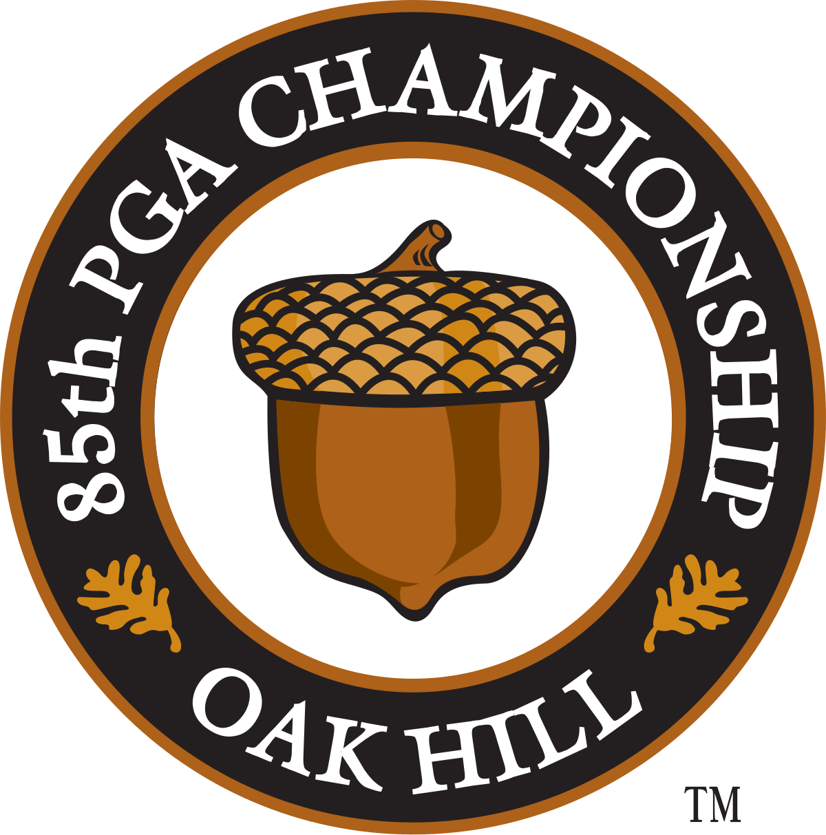 2003 open championship 0010
