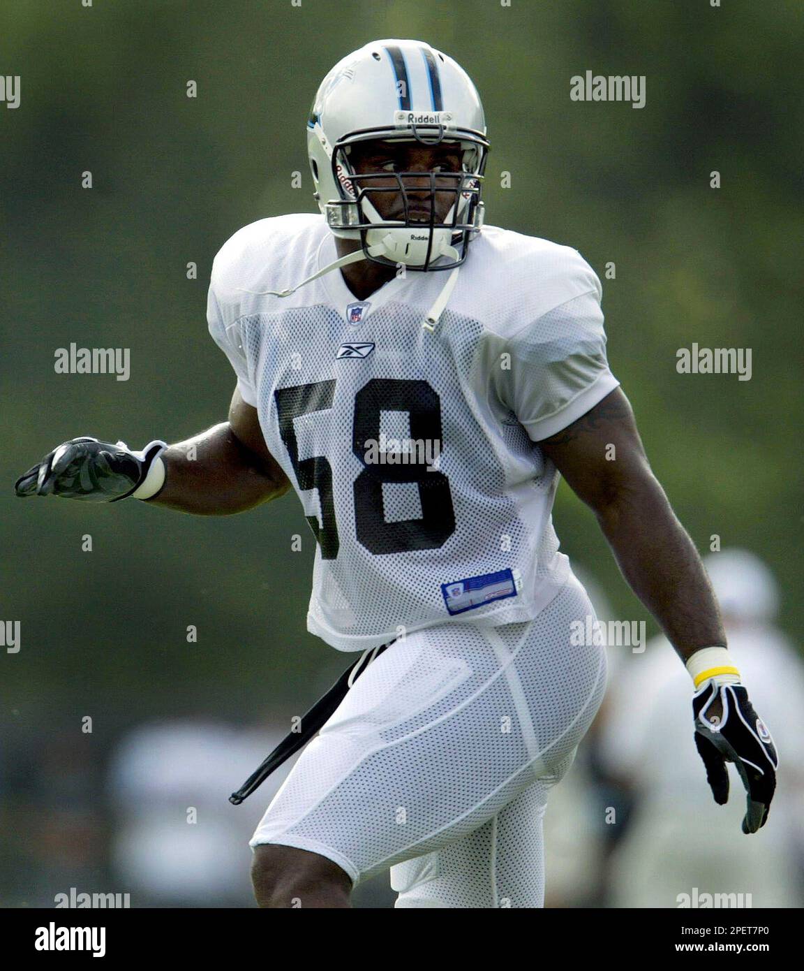 2004 carolina panthers 0023
