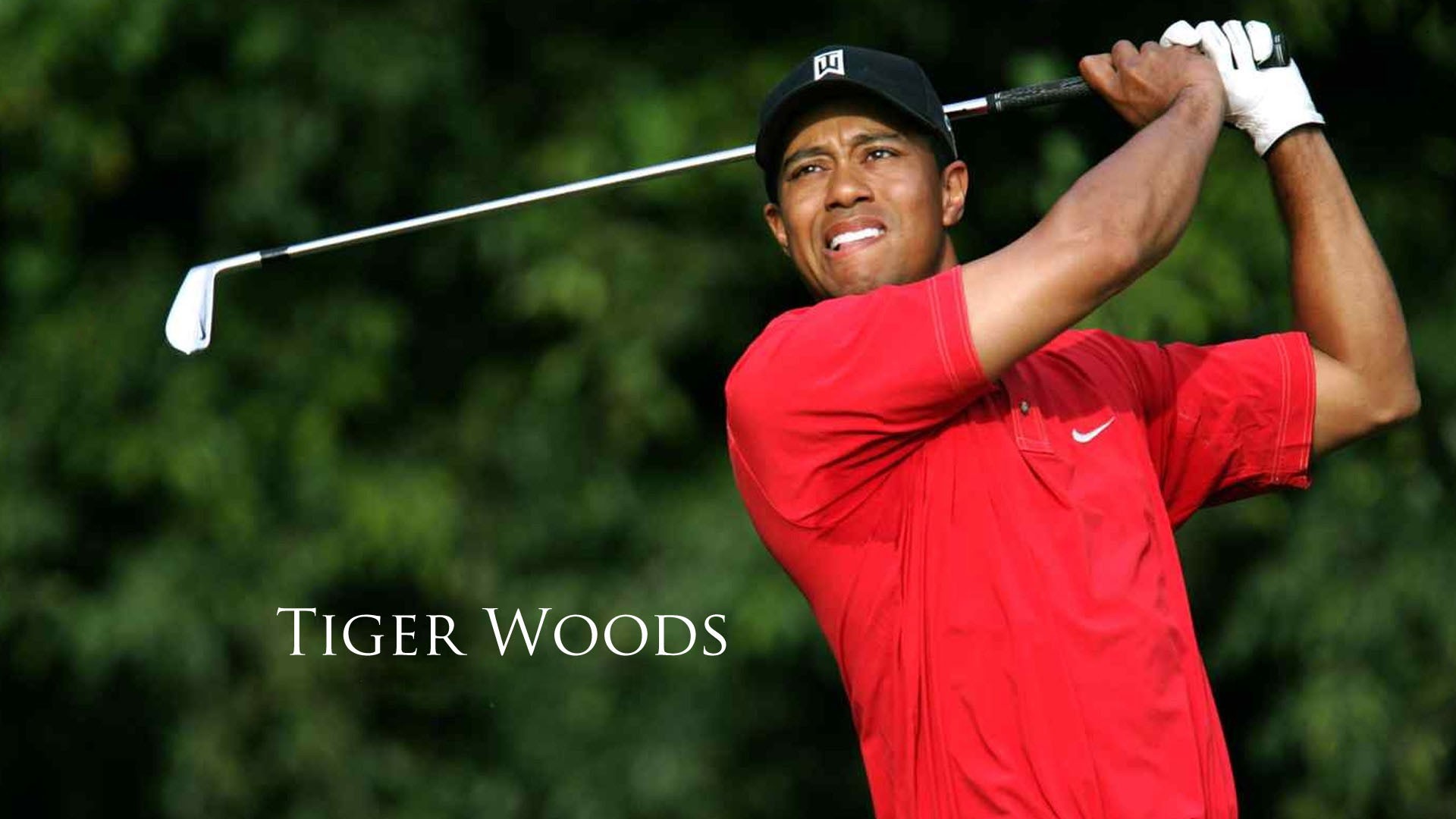 2008 open championship 0039