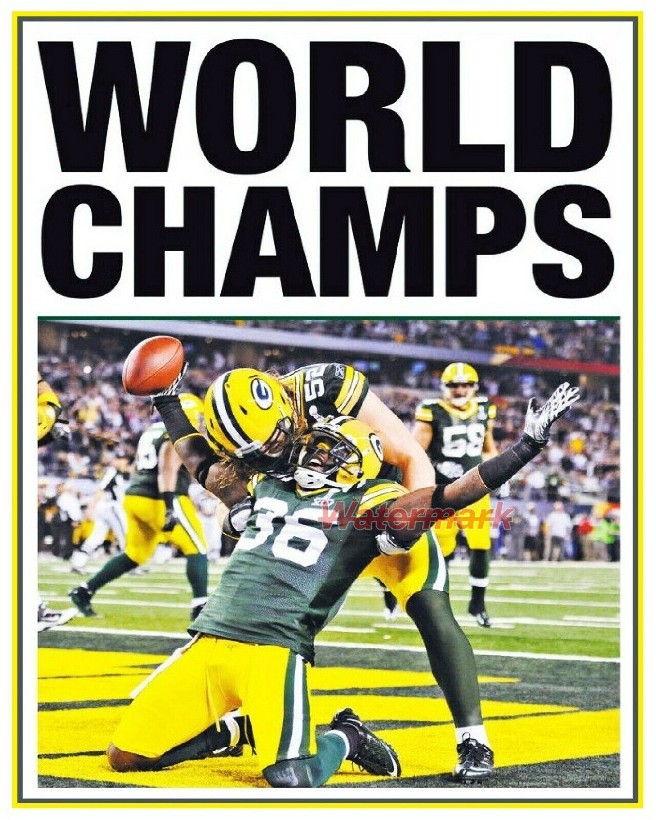 2011 packers 0029