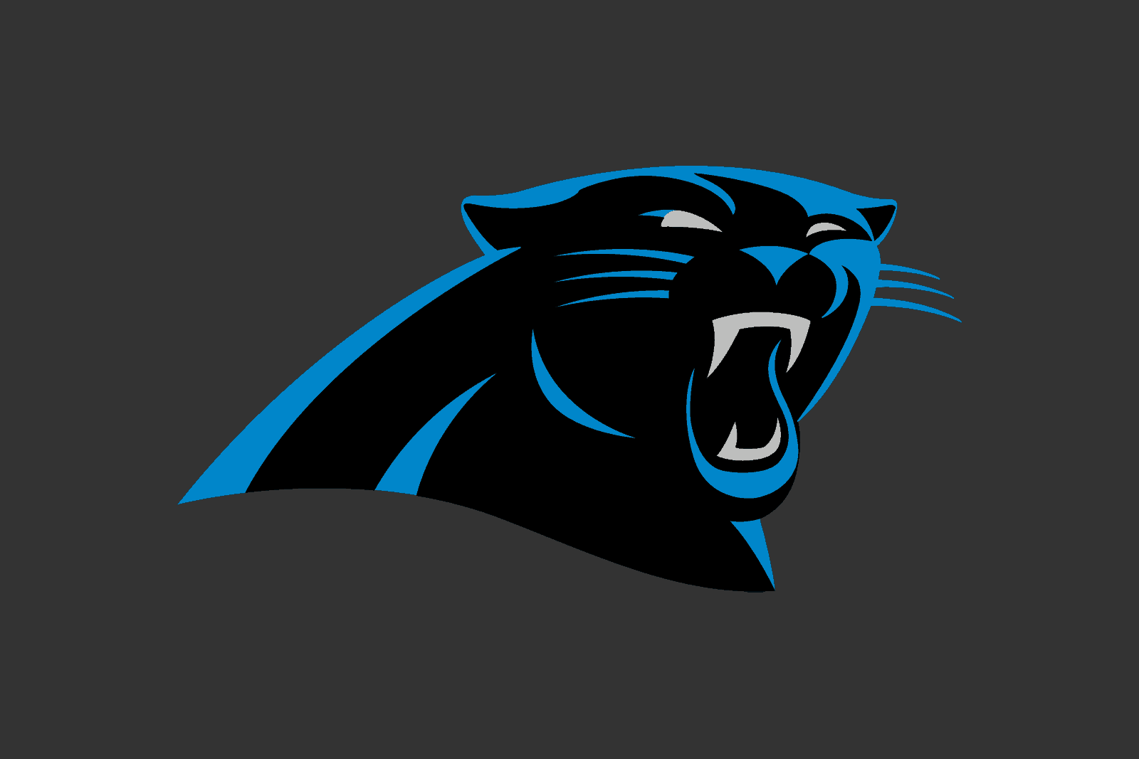 2019 panthers 0014
