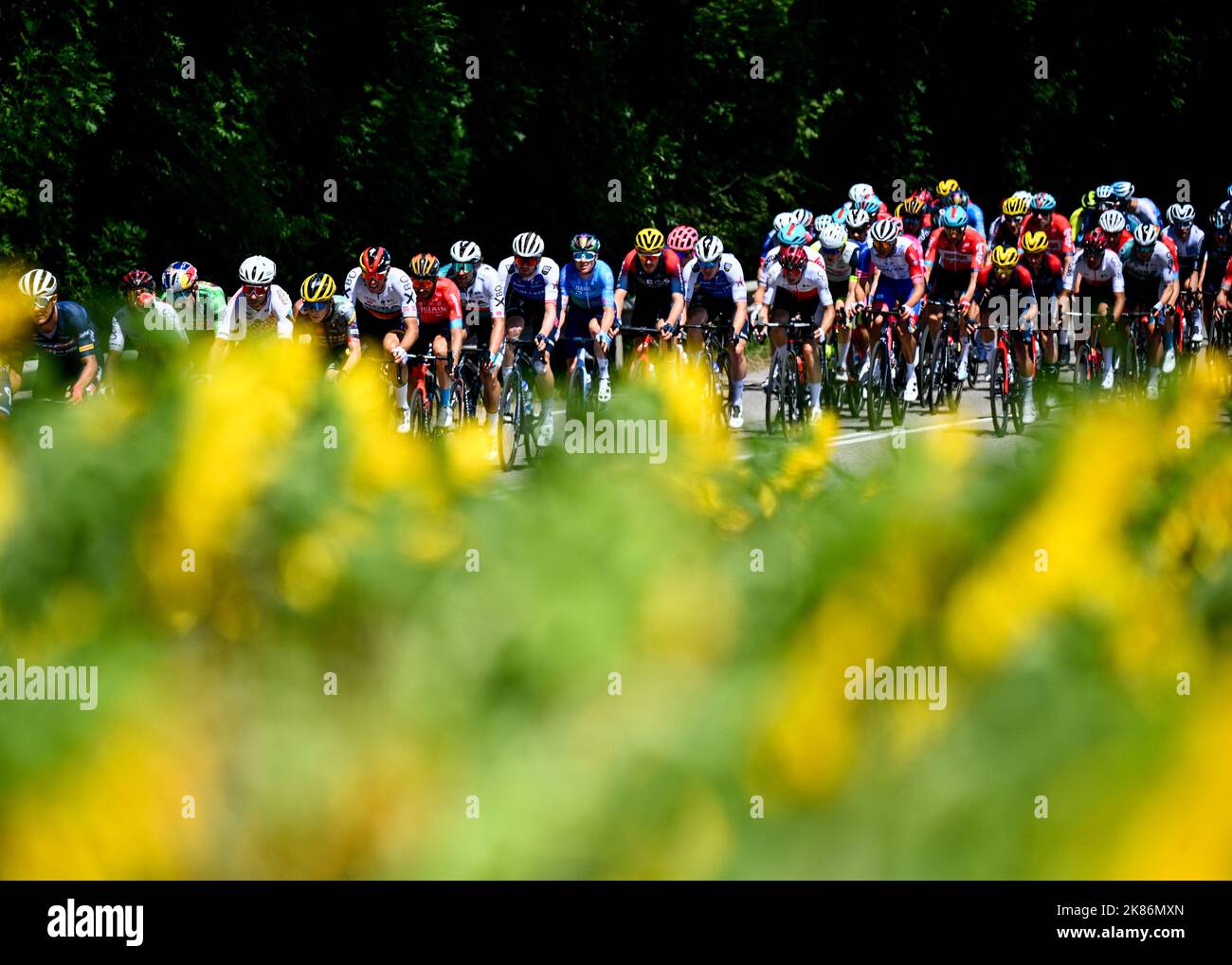2022 tour de france, stage 7 0023