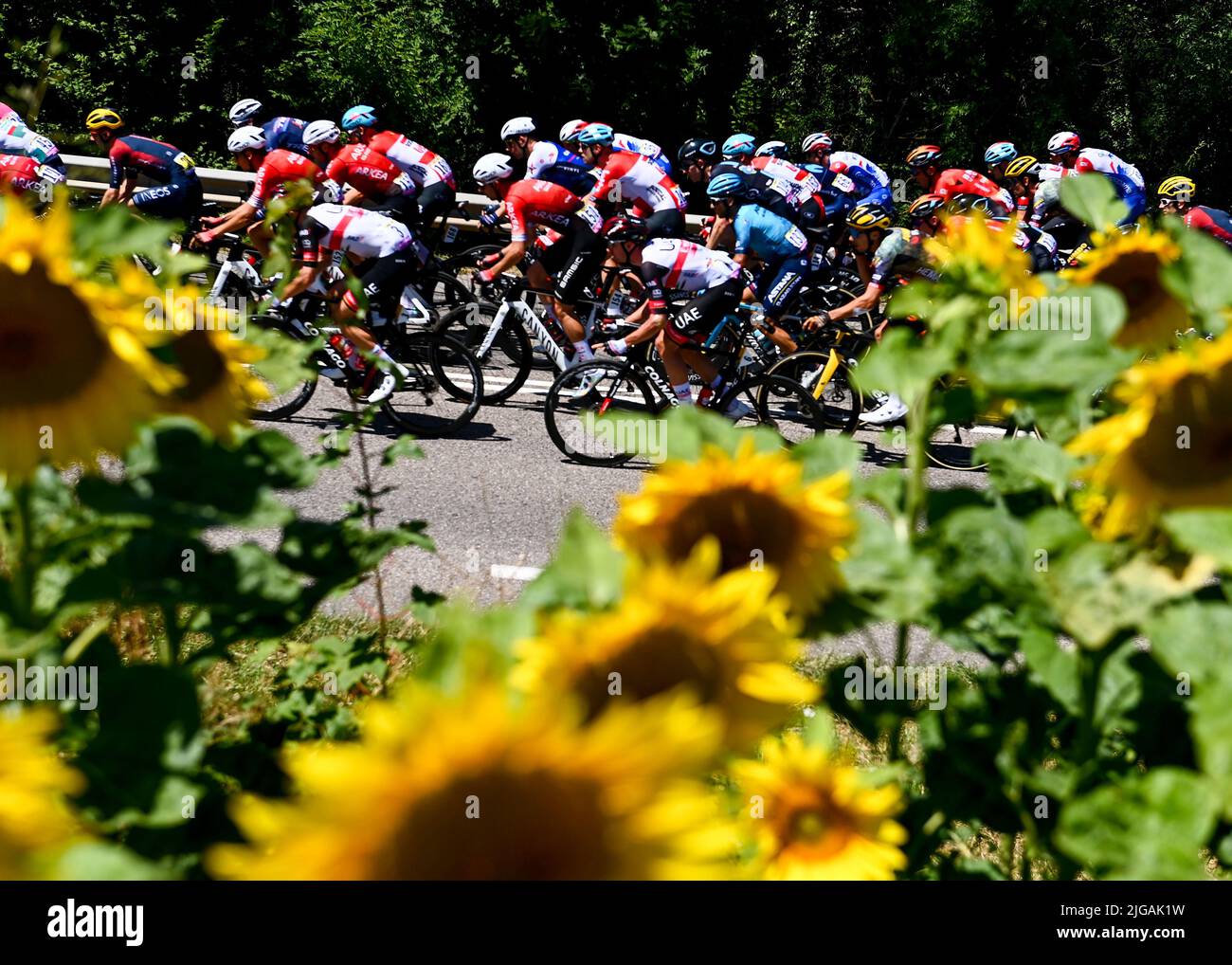 2022 tour de france, stage 7 0045