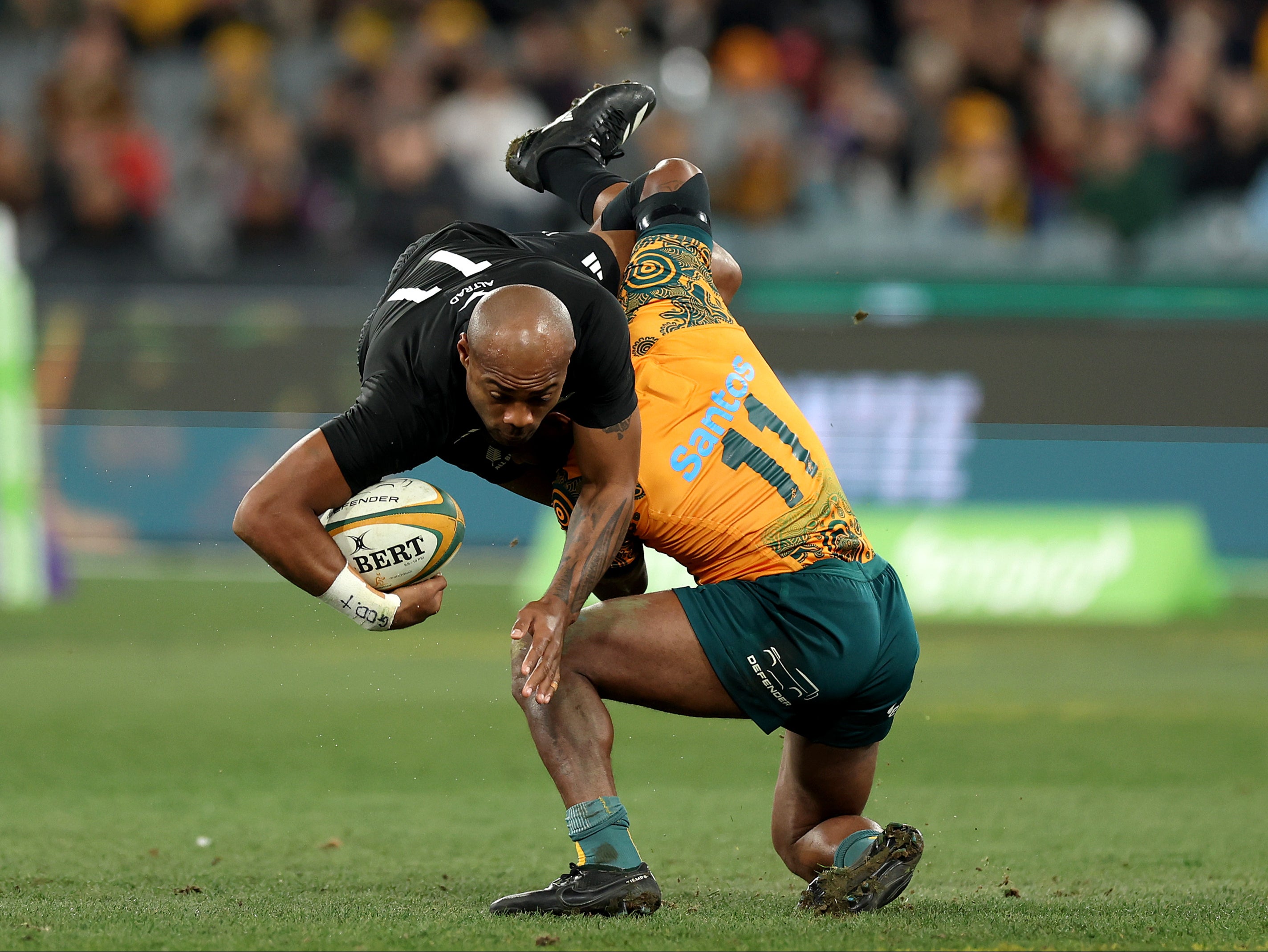 2023 bledisloe cup 0047