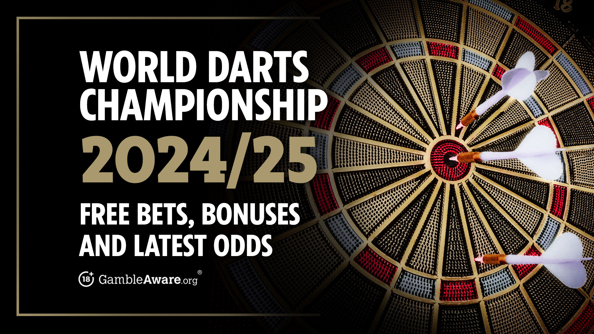 2024 world darts championship 0034