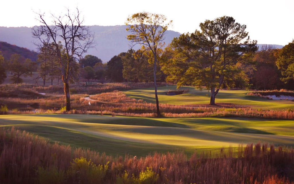 4th hole 0035