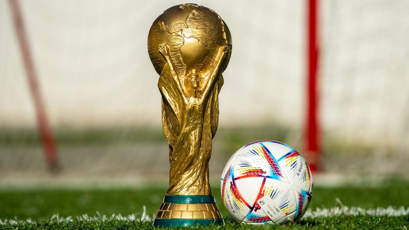 a picture of the world cup 0018