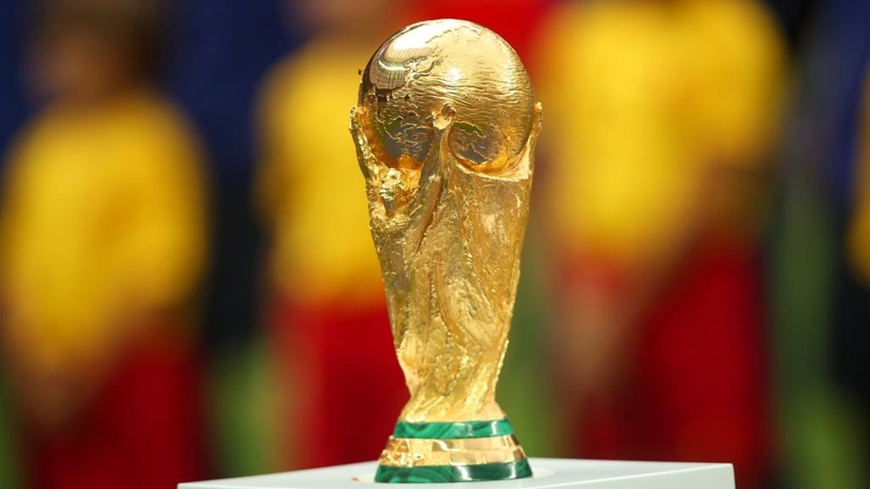 a picture of the world cup 0024