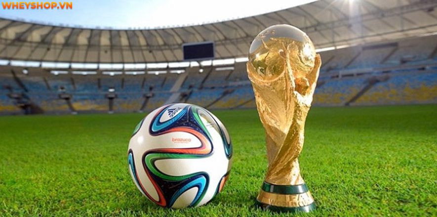 a picture of the world cup 0025