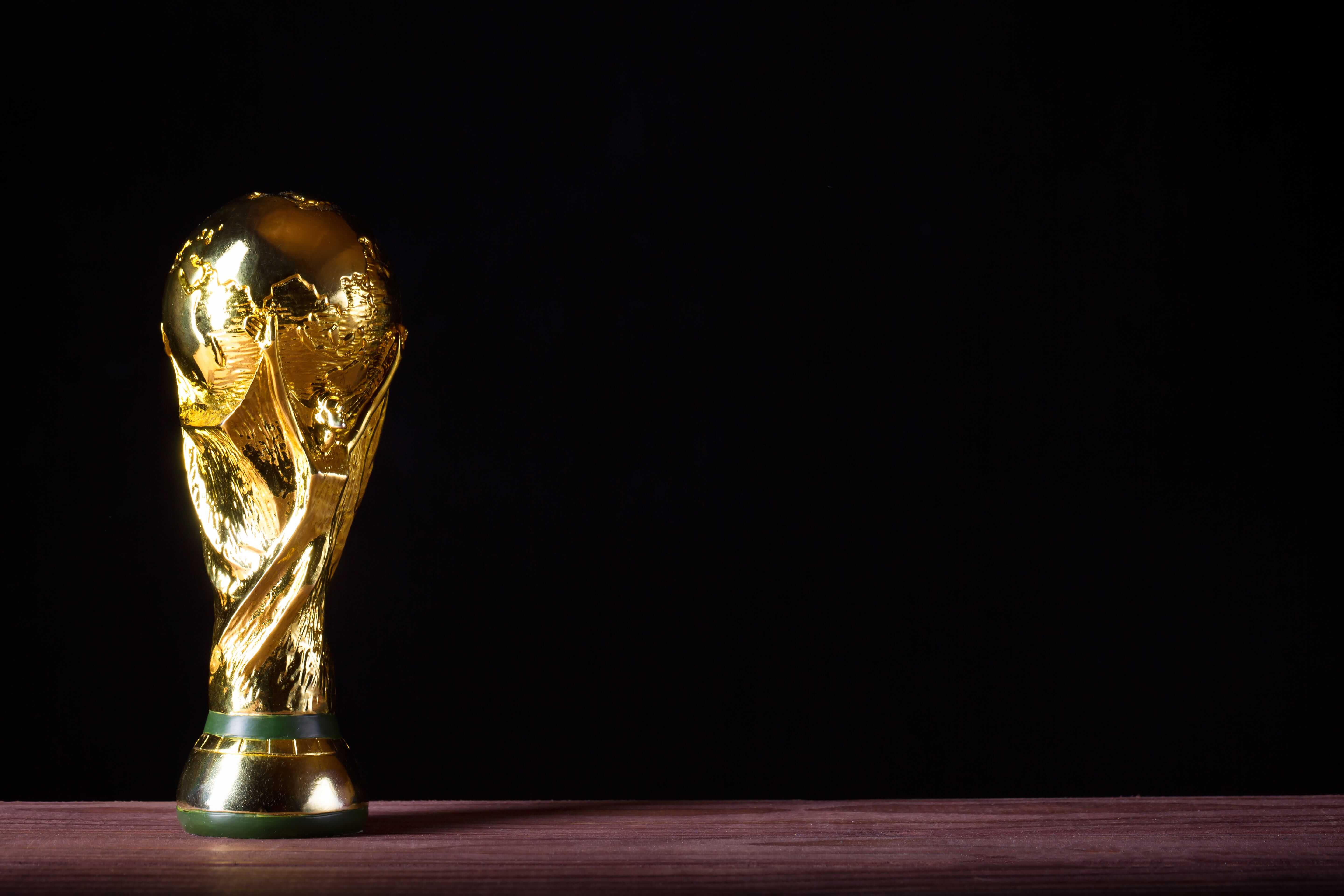 a picture of the world cup 0027