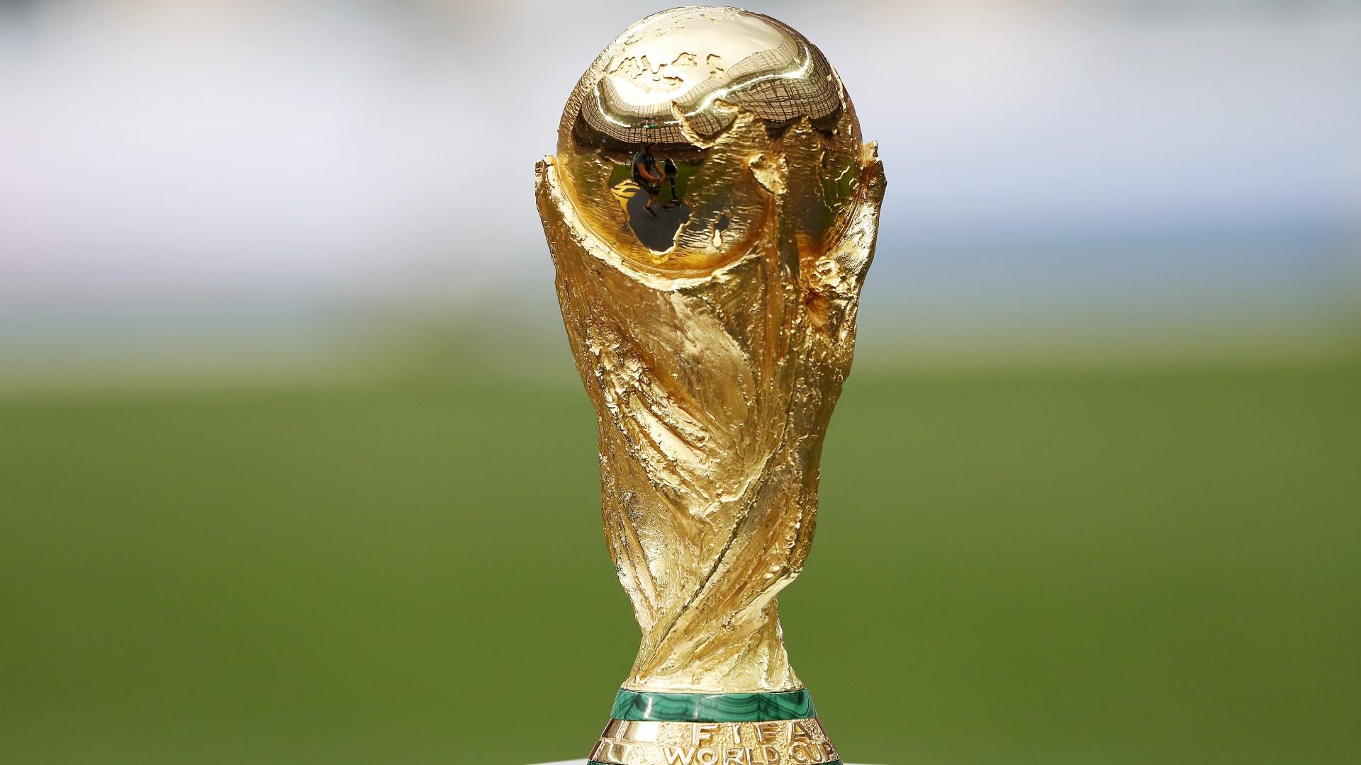 a picture of the world cup 0028