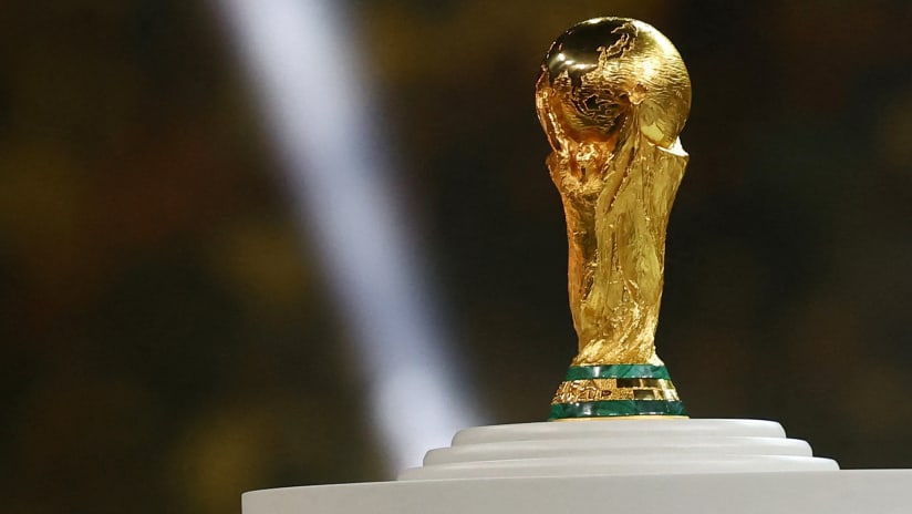 a picture of the world cup 0030