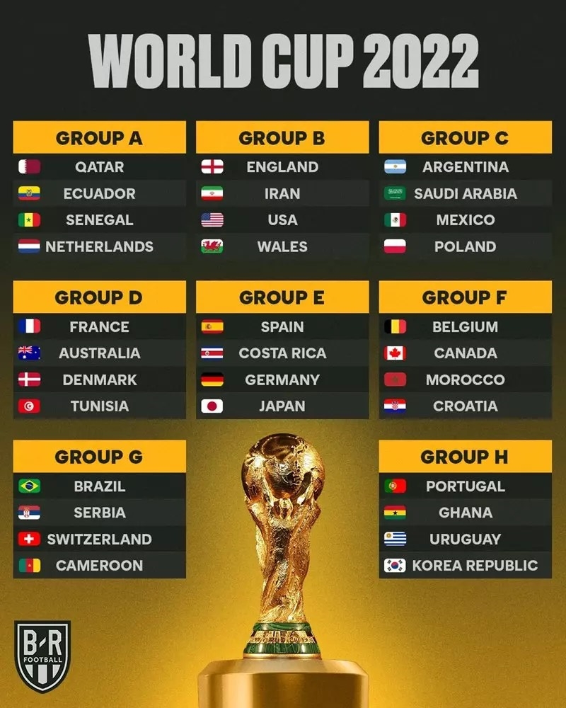 a picture of the world cup 0036