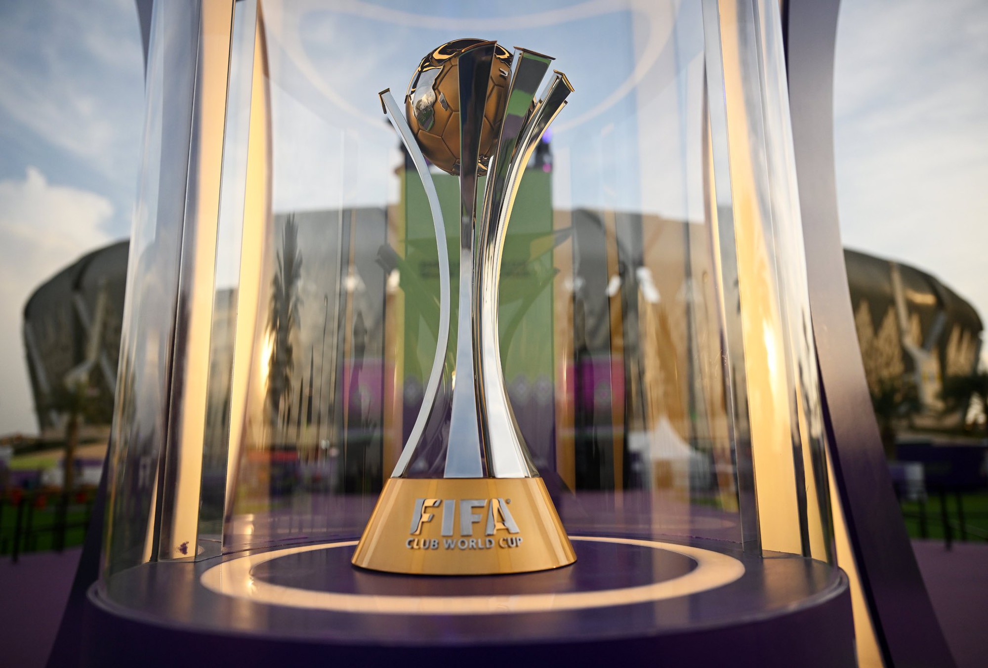 a picture of the world cup 0041