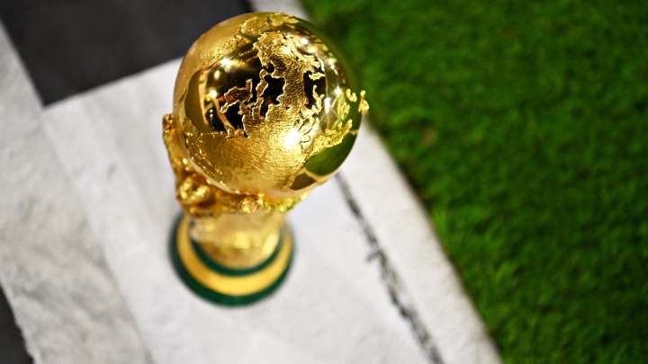 a picture of the world cup 0042