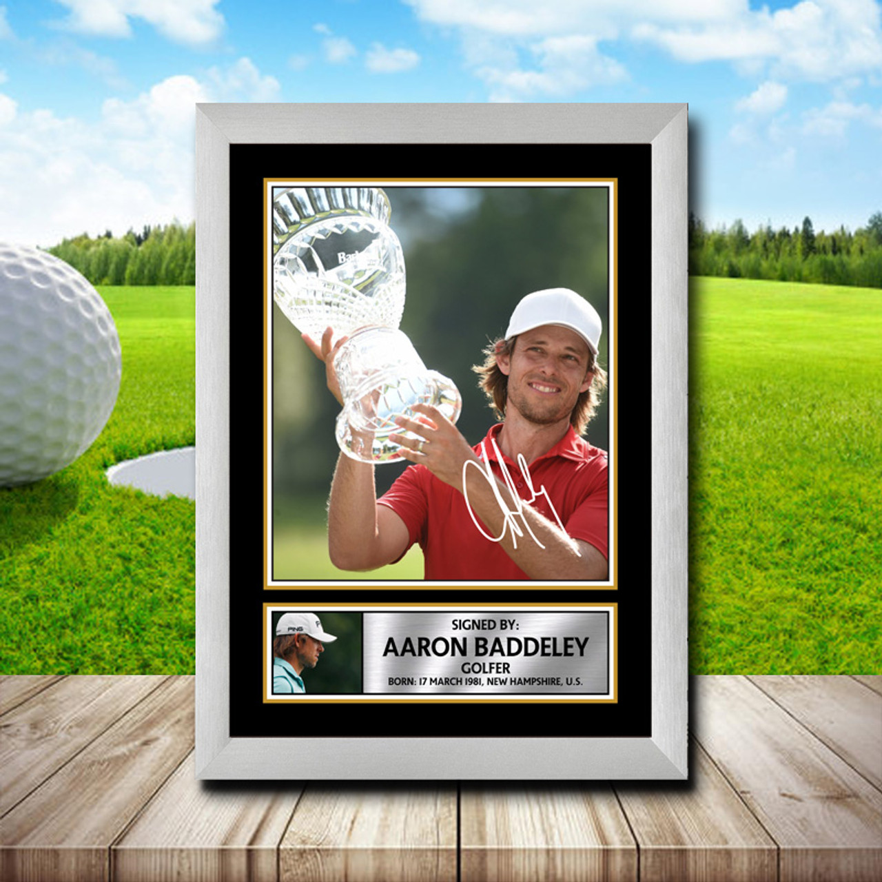aaron baddeley 0027