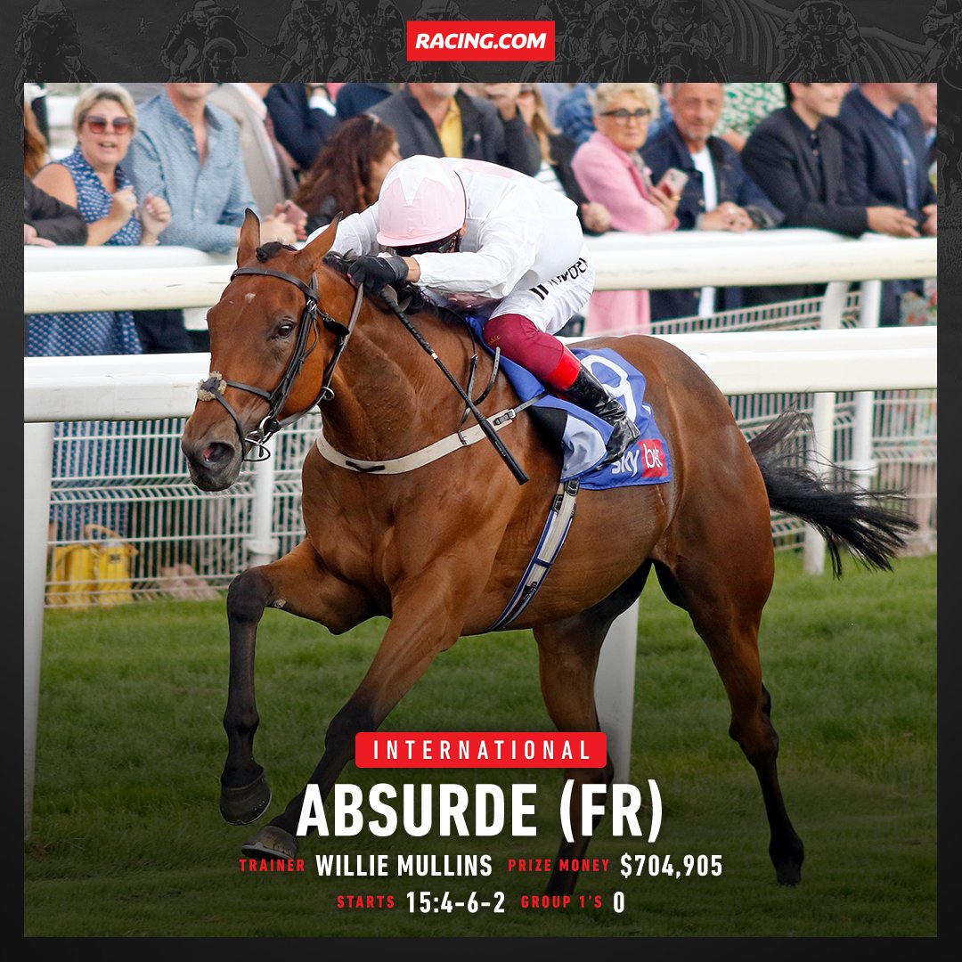 absurde horse 0013
