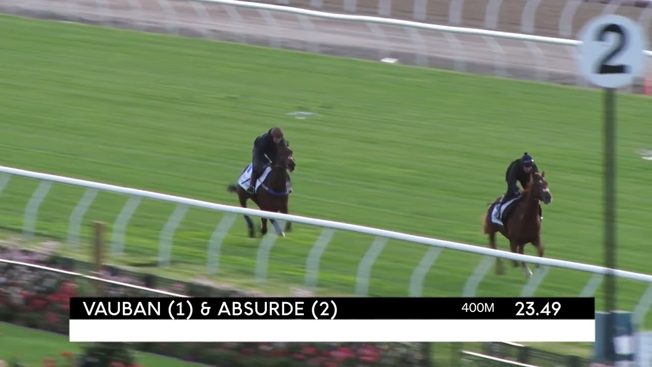 absurde horse 0043