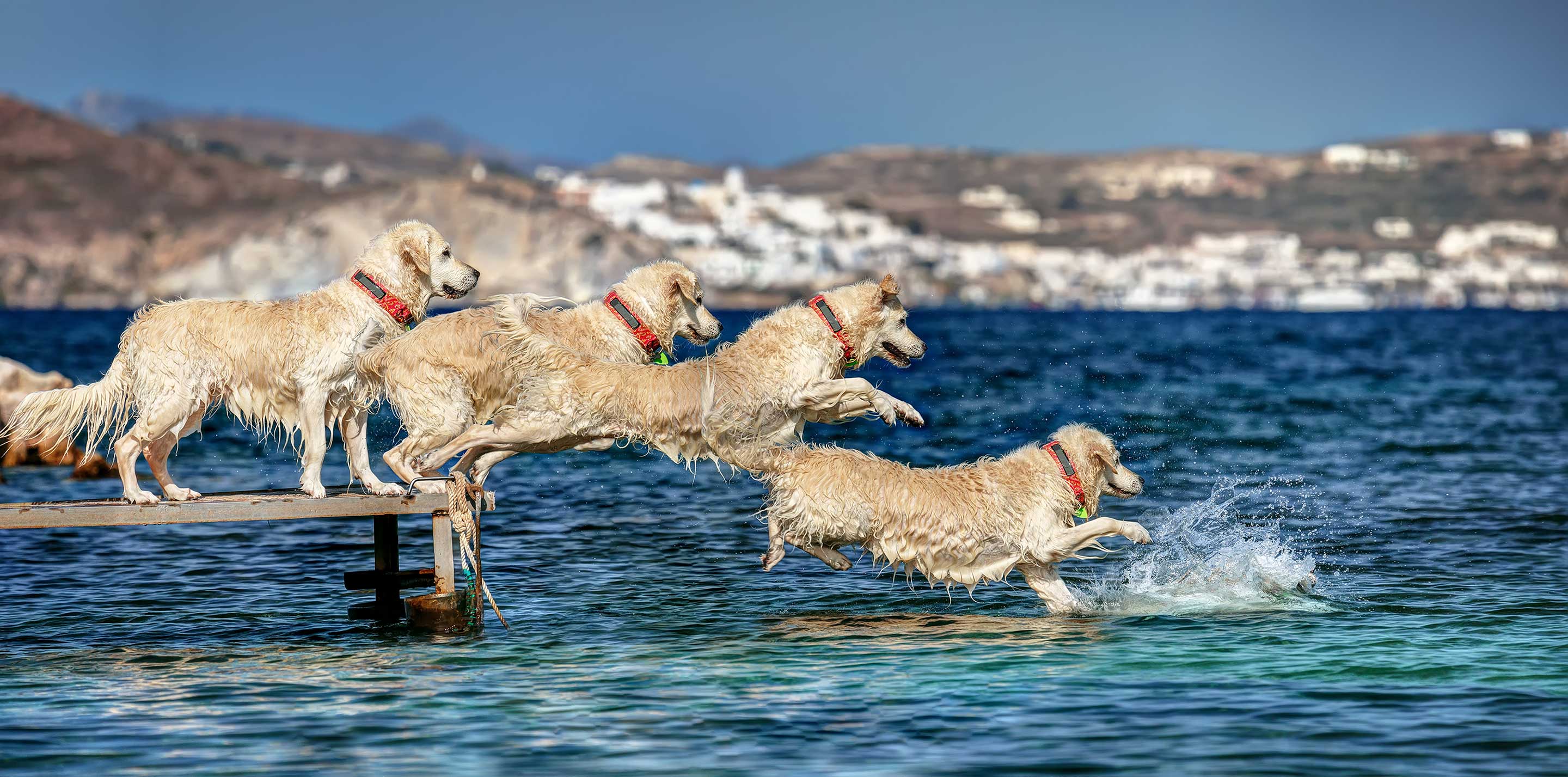 action sequence photography 0023