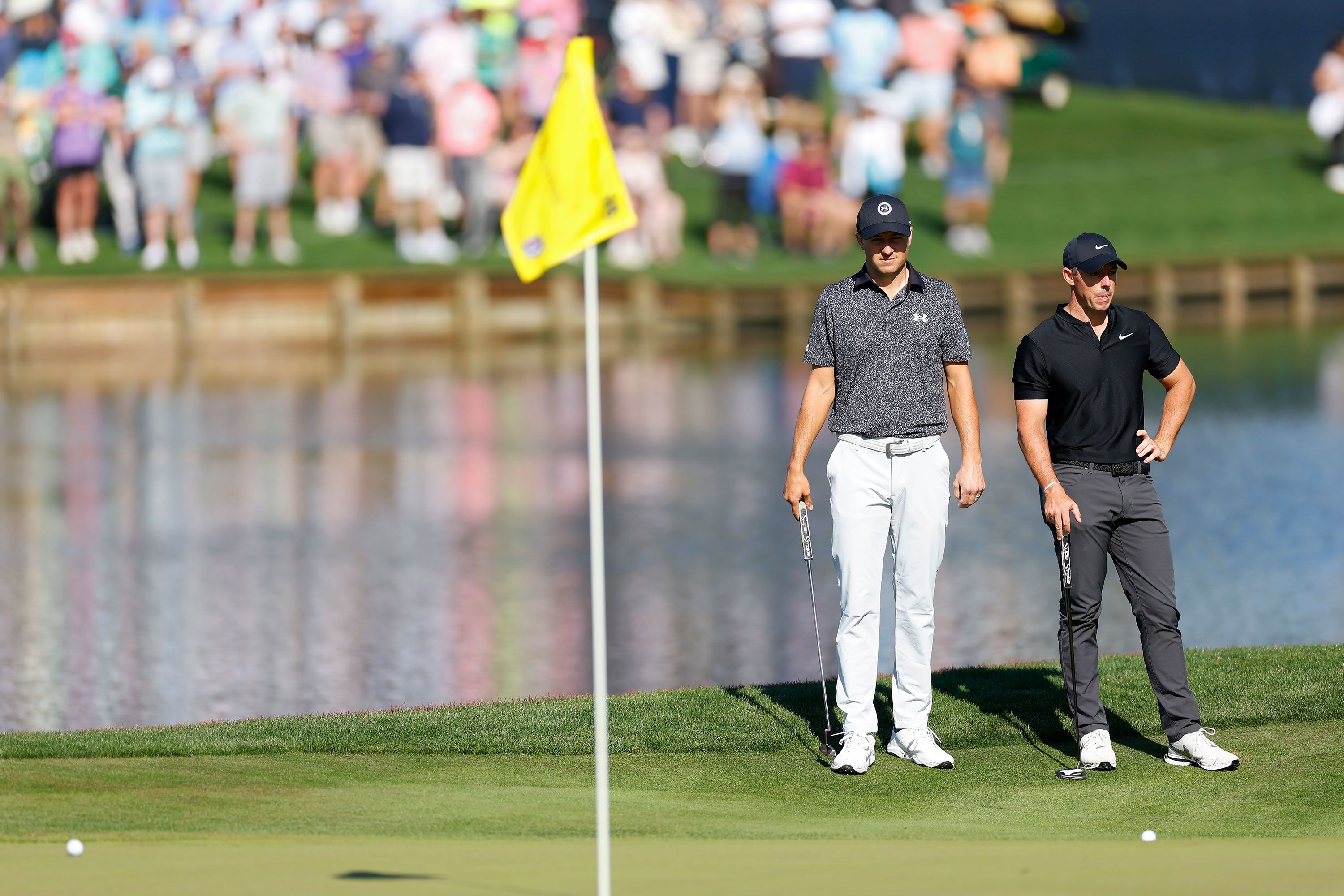 Adam Hadwin fan reactions.