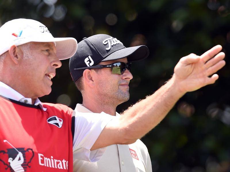 adam scott caddie 0019