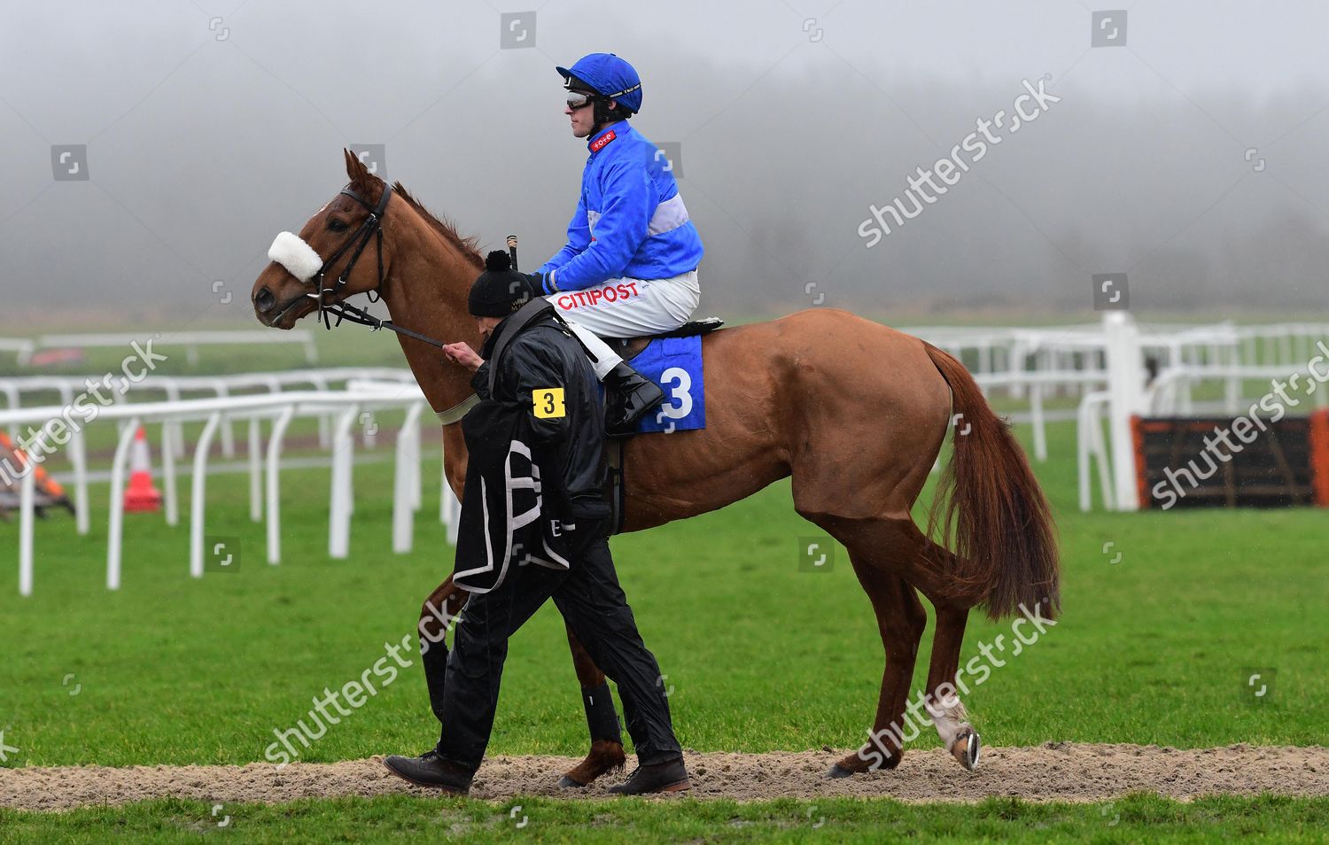 adam wedge 0023