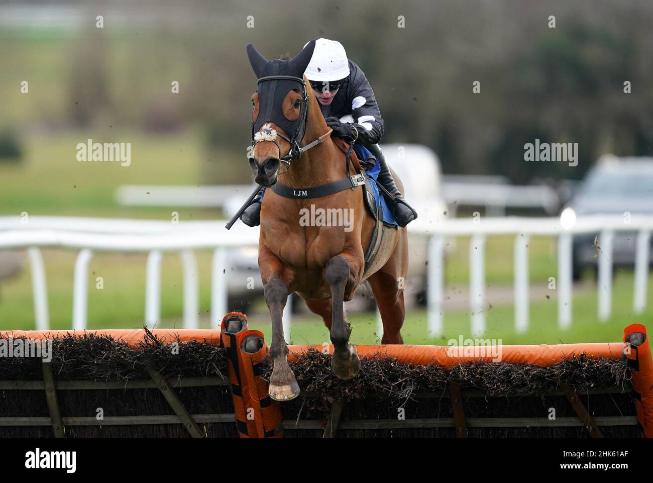 adam wedge 0037