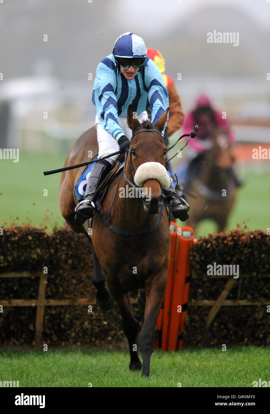 adam wedge 0048