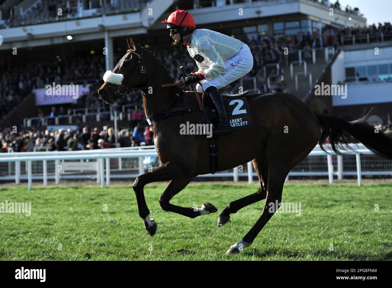 albert bartlett novices hurdle 0012