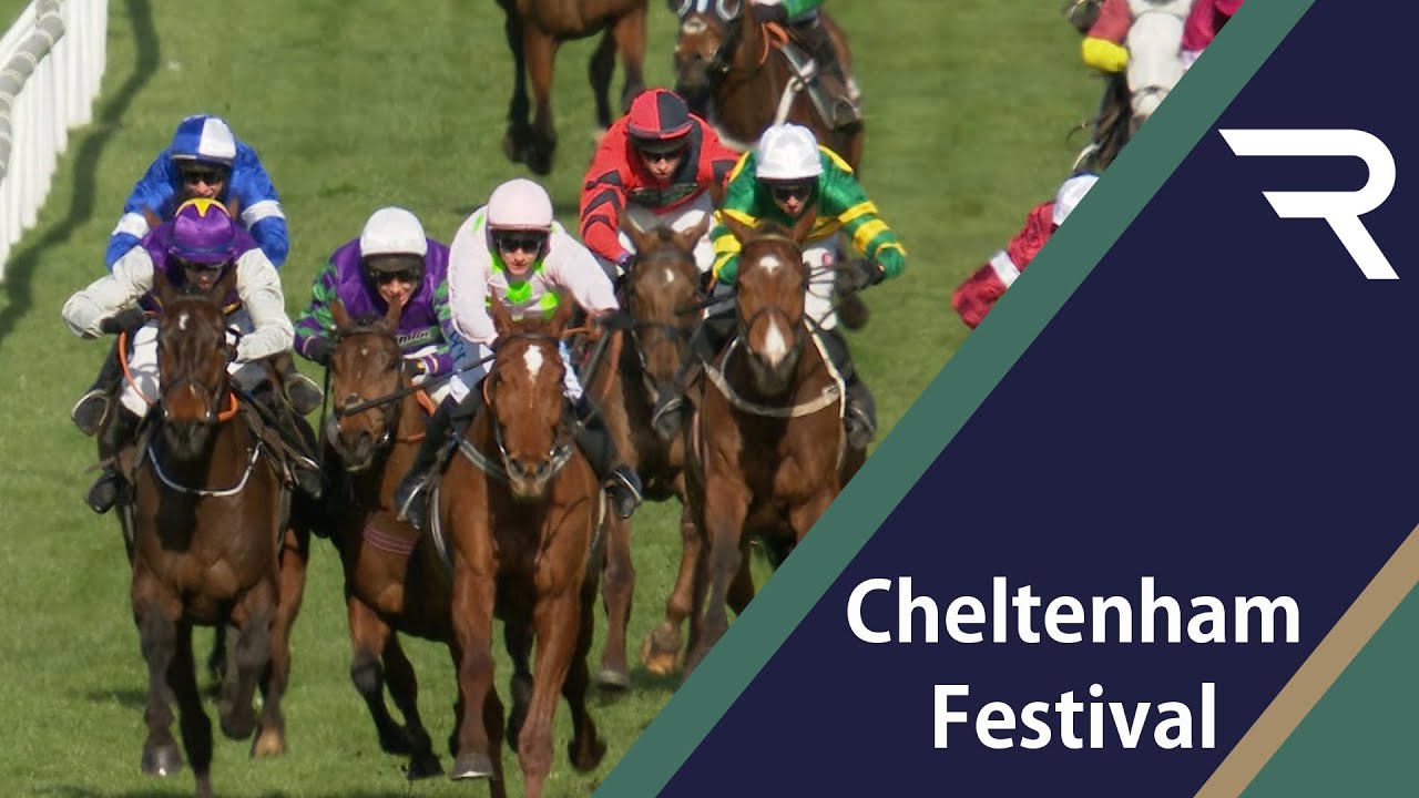 albert bartlett novices hurdle 0013