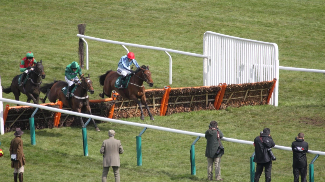 albert bartlett novices hurdle 0015