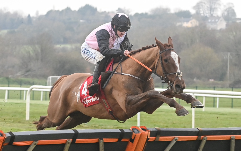 albert bartlett novices hurdle 0017