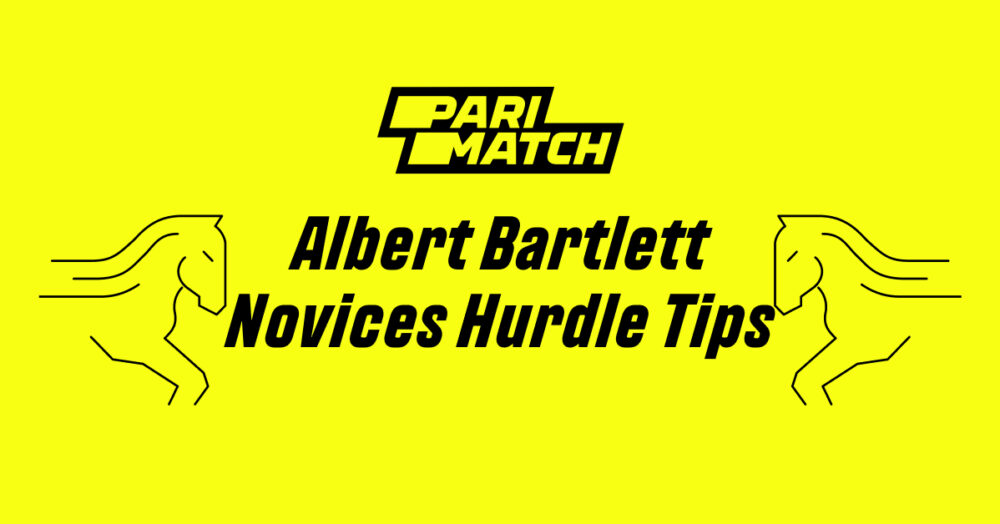 albert bartlett novices hurdle 0021