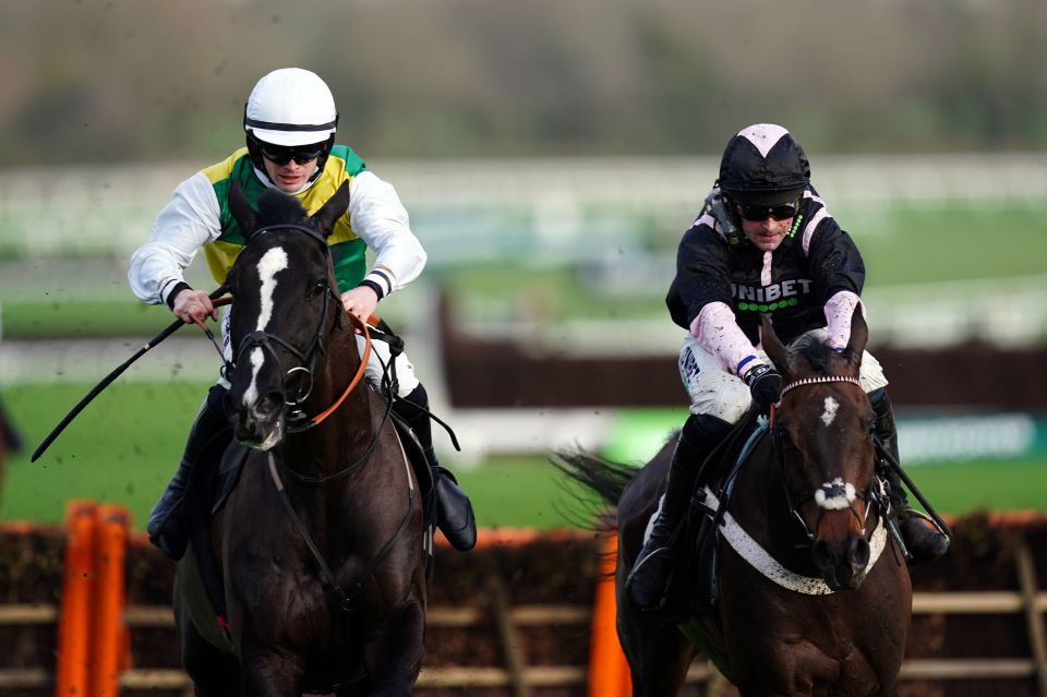 albert bartlett novices hurdle 0024
