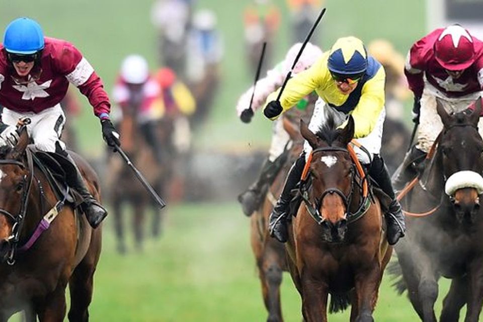 albert bartlett novices hurdle 0026