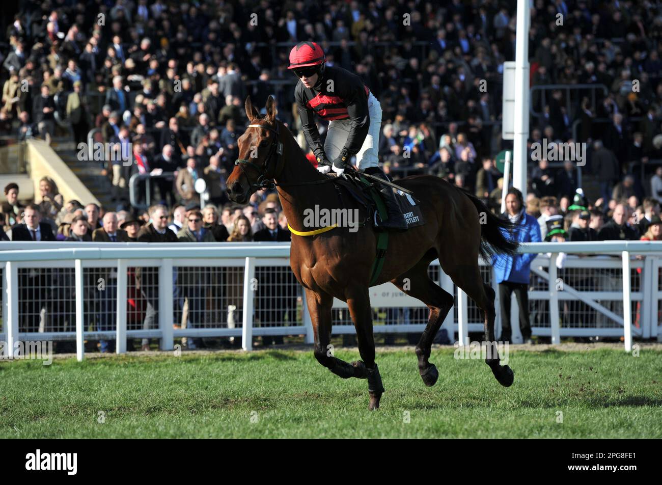 albert bartlett novices hurdle 0027