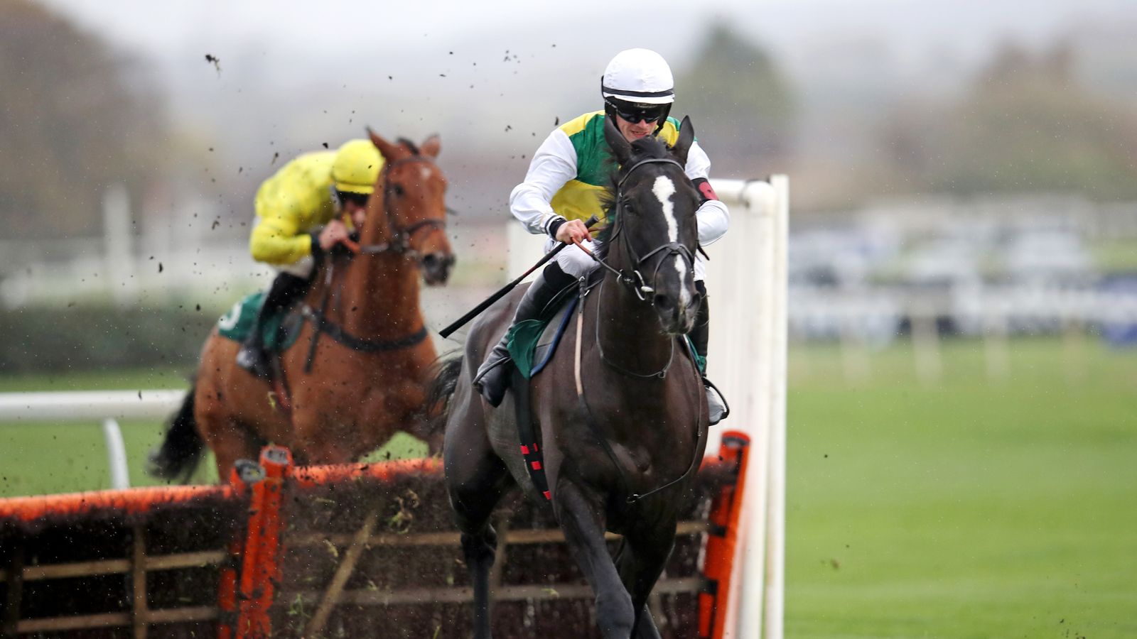 albert bartlett novices hurdle 0029