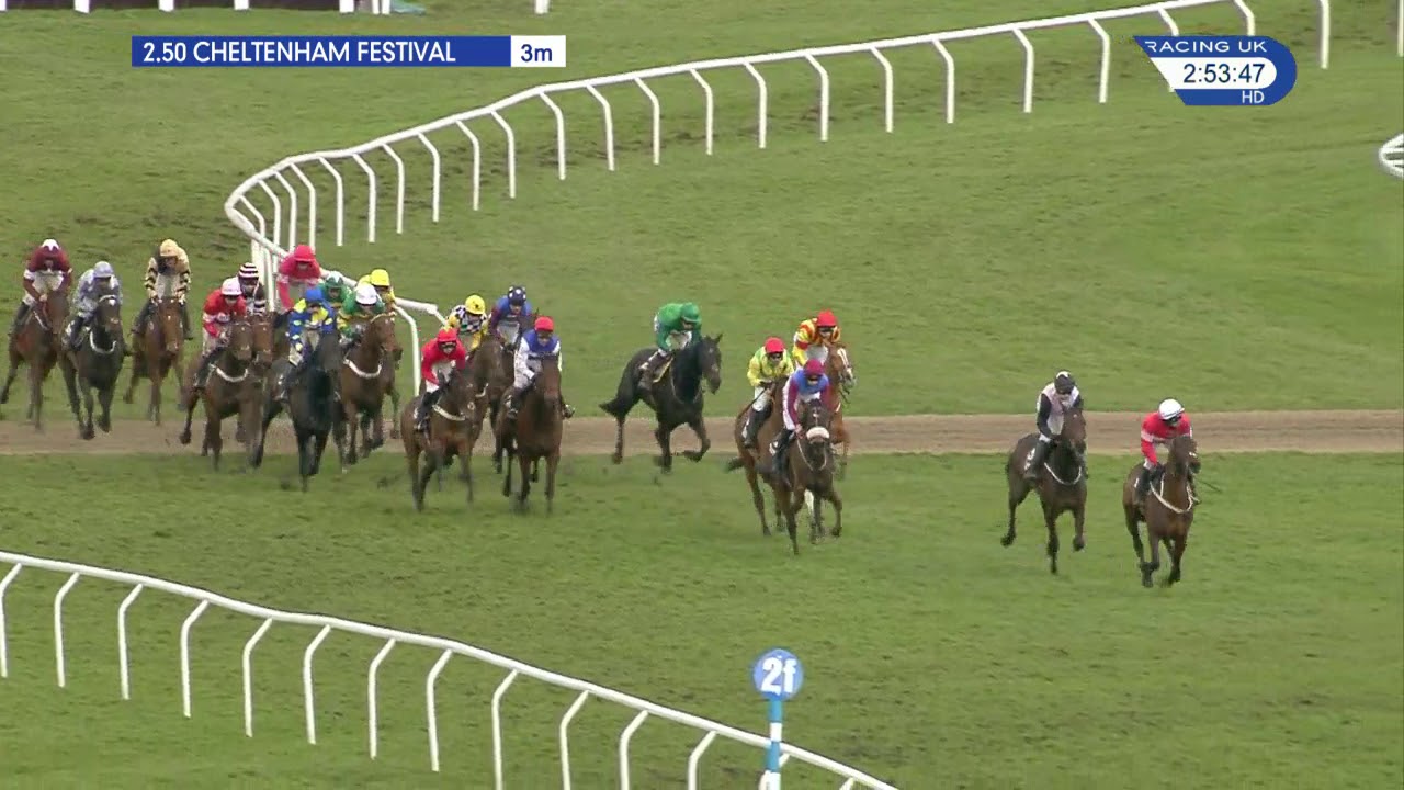 albert bartlett novices hurdle 0031