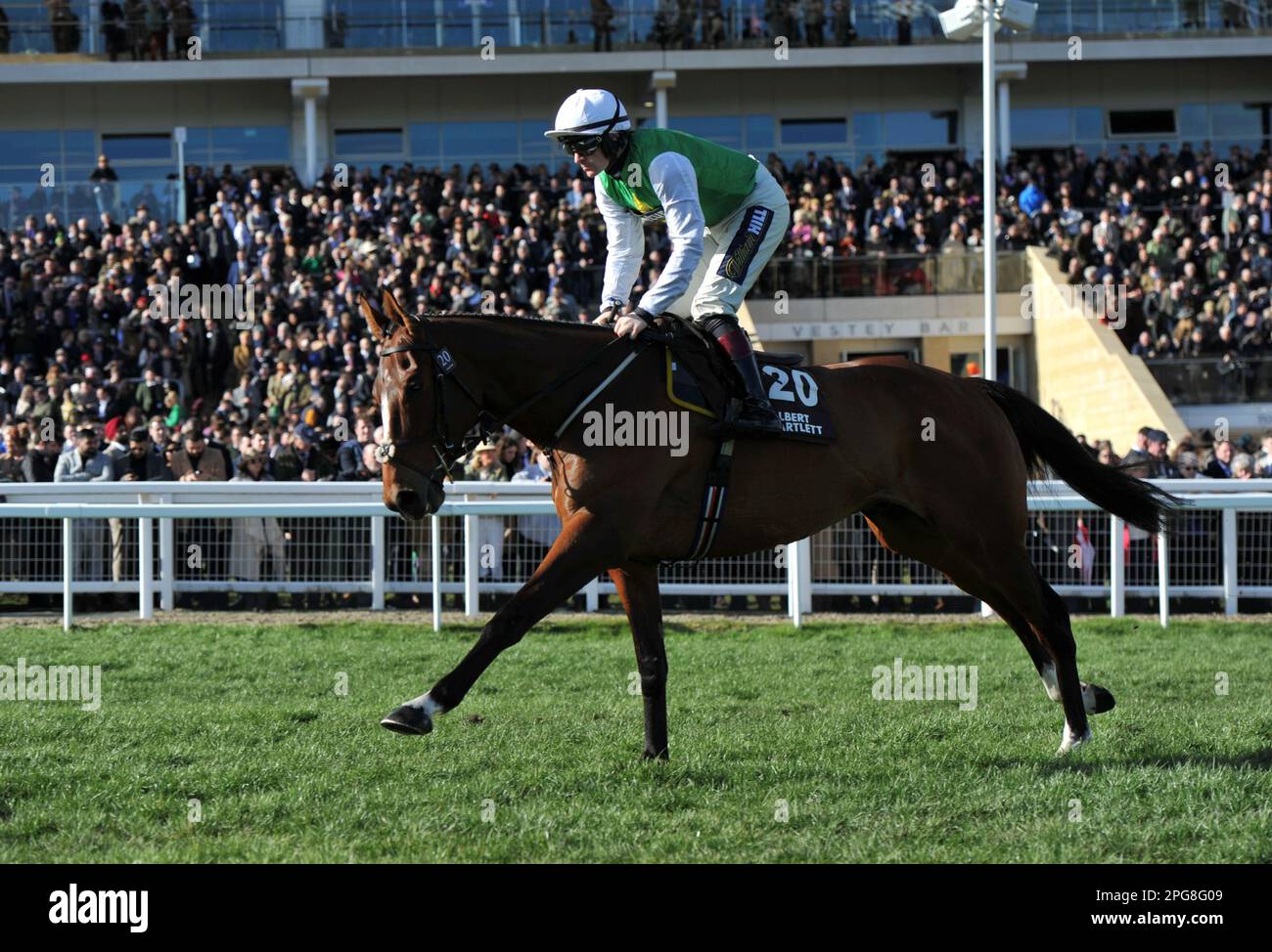 albert bartlett novices hurdle 0033