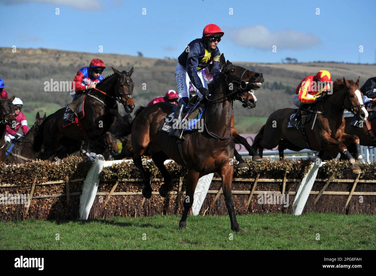 albert bartlett novices hurdle 0035