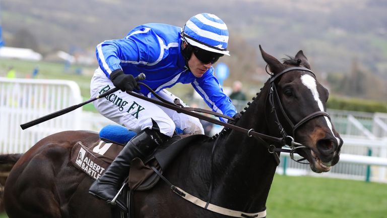 albert bartlett novices hurdle 0037
