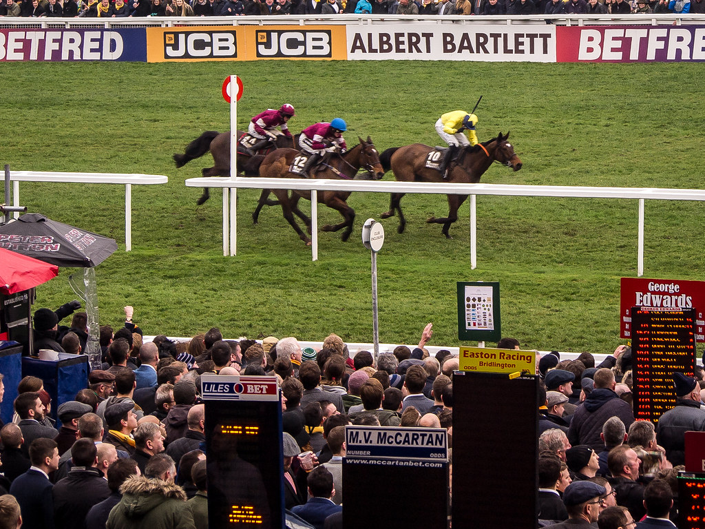 albert bartlett novices hurdle 0039