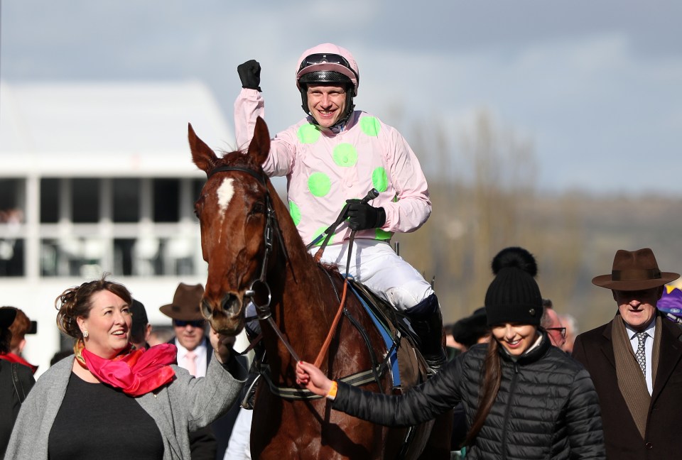 albert bartlett novices hurdle 0040